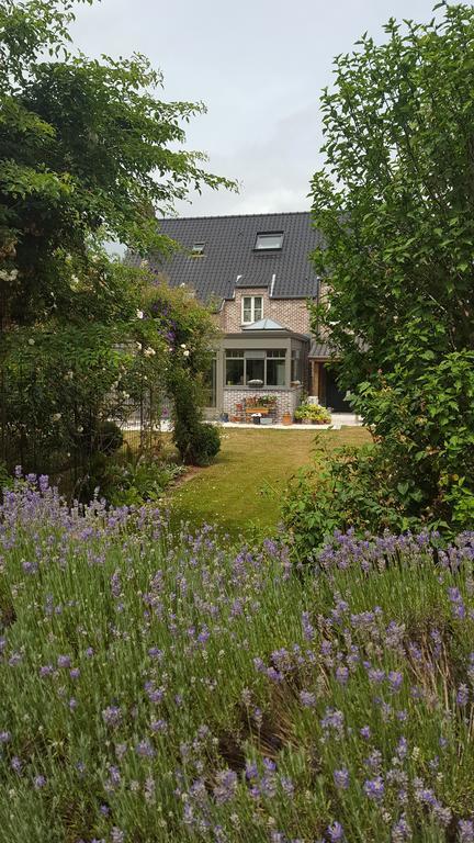 B&B La Cle Du Sud メレルベーケ エクステリア 写真