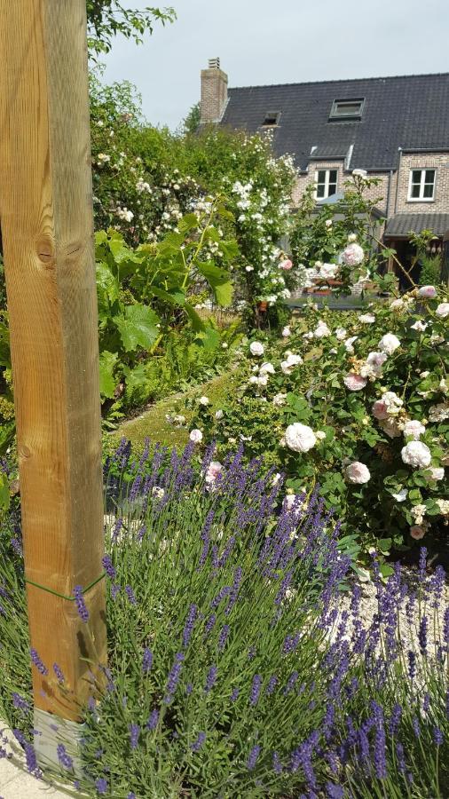 B&B La Cle Du Sud メレルベーケ エクステリア 写真