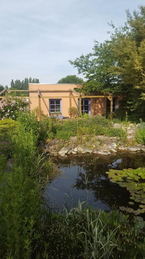 B&B La Cle Du Sud メレルベーケ エクステリア 写真