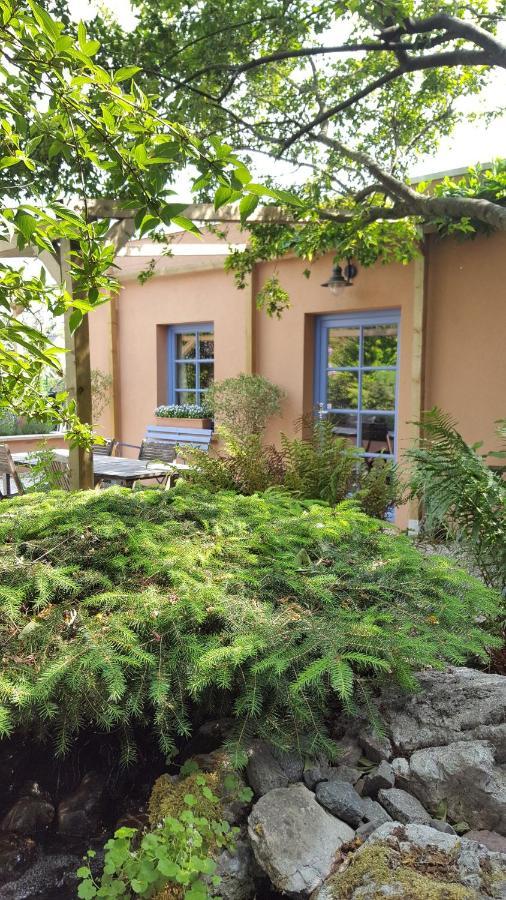 B&B La Cle Du Sud メレルベーケ エクステリア 写真